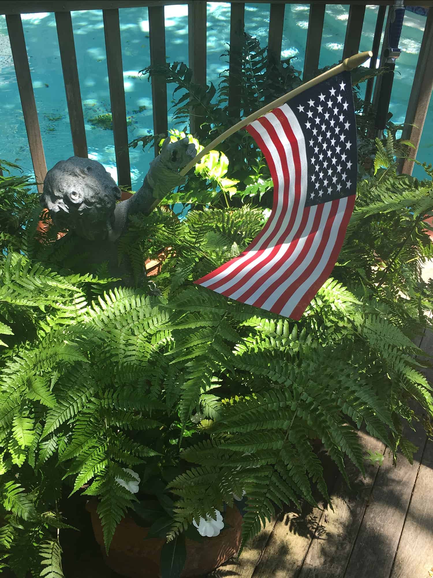 american flag in a fern pot