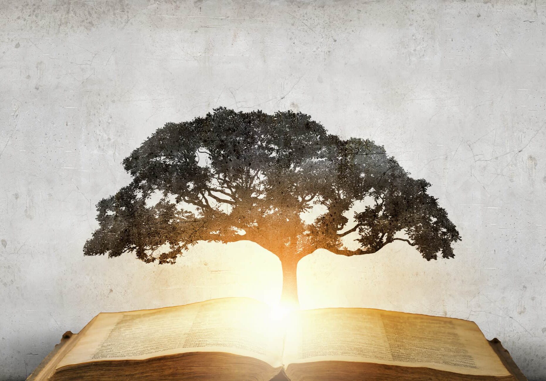 Concept of education and knowledge with tree growing from book