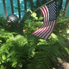 american flag in a fern pot