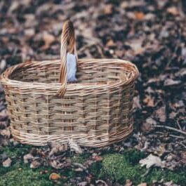 A basket sitting on the ground.